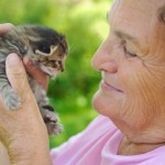 Avoir un animal de compagnie en maison de retraite : Ce qu'il faut savoir